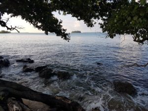 Island Induction Part 2 – Patrice Trudeau